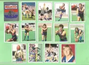 1983 SCANLENS VFL 14 STICKER TEAM SET - FOOTSCRAY BULLDOGS (WESTERN BULLDOGS)