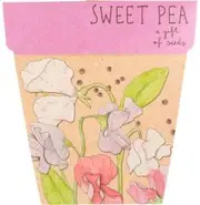 Sow 'N Sow Gift of Seeds Sweet Pea