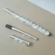 Excellent Flute with Case 16 Open Hole Silvering C Tone E key White Copper