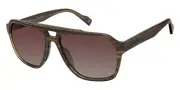 Ben Sherman MANOR Sunglasses Men Aviator 58mm New & Authentic
