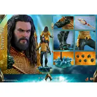 在飛比找蝦皮購物優惠-預購｜Hot Toys MMS518 水行俠 Aquaman