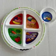 Lot Of 12 New Plates MyPlate.gov Good Nutrition 5 Sections Food Groups Plate 12