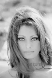 Sophia Loren and her Beautiful Eyes Photo Print Pos