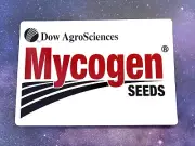 vintage MYCOGEN SEEDS COMPANY Large Magnet Car 12"x18" advertising
