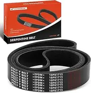 Engine Serpentine Drive Belt Compatible with Blue Bird, Kenworth, Mack & Western Star Cars - Vision School Bus 2009, T2000, CV, LR, MRU, TerraPro, 4800SB, 4900EX, 4900FA, 4900SA, 6900XD