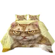 Cool Cats Art Serious Kitten Coverlet