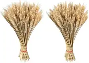 Dried Wheat Stalks Bundle - Natural Sheaves, Stems, Flowers Bouquet for Craft, Home Table, Wedding Decor - Artificial Grass Flora