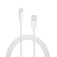 在飛比找momo購物網優惠-【APPLE 副廠】Lightning 8pin 電源連接傳