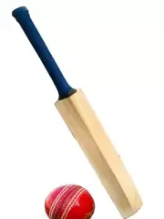 HALLOWEEN Cricket Bat Grade A Full Size + Free Leather Ball ASA H1