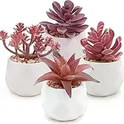 Lenamos 4pcs Artificial Succulent Plants in White Ceramic Pots, Fake Small Fake Plants, Faux Mini Succulents Plants Indoor for Desk Living Room Bedroom Windowsills Office Home Decoration (Red)