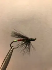 ATLANTIC SALMON FLY UNDERTAKER SIZE 6