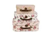 Sass & Belle: Vintage Rose - Suitcase Set