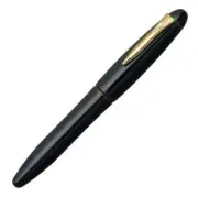 Platinum Fountain pen Izumo F Tame coating Dry accumulation PIZ-55000 27-2