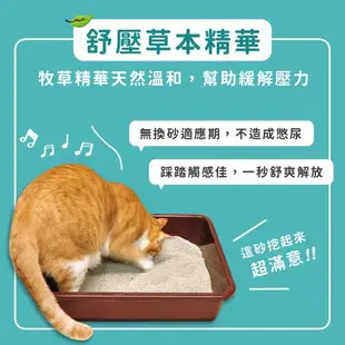 【MOMOCAT摸摸貓】小綠綠舒壓貓砂4kg