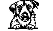 Border Terrier dog car van vinyl dog peeking dog window wall decal 5x5