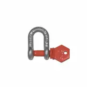 Taskmaster 6mm Galvanised D Shackle