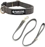 Pawsitive Wool Dog Collar - Hypoallergenic Dog Collar, Great Dog Collar for Sensitive Skin, Soft Collar for Dogs, Soft Organic Dog Collar Eco-Friendly (Small, Gray & Leash)