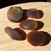 1lb Lot 5 Agate Geode Ends Cut Polished Rock Slices Mixed Natural Brown Crystals