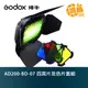 GODOX 神牛 AD200-BD-07 四頁片及色片套組 公司貨 適用AD200 棚燈型燈管燈頭【鴻昌】