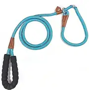 Slip Lead Dog Training Collar Leash Long Rope No Pull Teach Puppy Soft Handle Reflective Adjustable Suit Small Doggy Blue