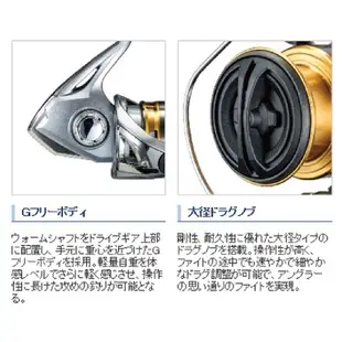 《SHIMANO》17 SEDONA系列 紡車捲線器 中壢鴻海釣具館型 海釣 磯釣 路亞 通用型捲線器