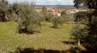 Casa de campo en plana naturaleza 