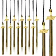 20Pcs Graduation Tassels Academic Graduation Cap Hat Tassel with 2025 Gold Charm for 2025 Graduation Ceremonies Accessories (Gold Black)