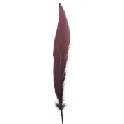 10" To 20" Silver Pheasant Tail Feather - Chocolate Brown ((SECONDS))