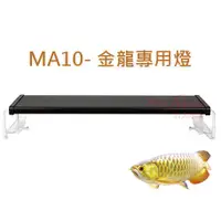 在飛比找蝦皮購物優惠-AN水族🐟  MR.MA10 超亮光LED三燈-過背金龍