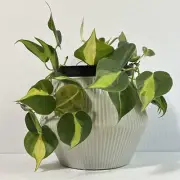 Ribbed Ceramic Planter Cachepot Vase Utensil Crock Geometric Gray sculptural