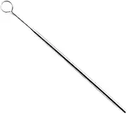 Lljsszr Stainless Steel Fondue Fork Set for Elegant Chocolate Indulgence, F