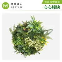 在飛比找momo購物網優惠-【草皮達人】仿真植物掛畫-心心相映(人工草、人造花、掛畫、植