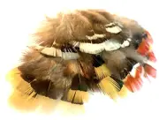 30pcs Fly Tying Natural Mixed Amherst Pheasant Feathers DIY Craft Fly Fishing