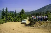 Alessandro Fiorio Vittorio Brambilla Lancia Delta 1993 WRC Rally Old Photo 5
