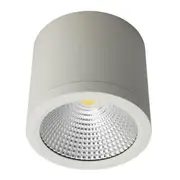 CROWN LIGHTING 20W Surface Mounted Round LED Dimmable Downlight CCT Selectable