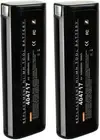 [2 Pack] TAVICE 404717 6000Mah 6V Batteries Compatible with Paslode Nail Guns 90