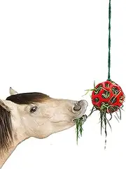 Horse Hay Feeder, Horse Treat Ball, Treat Hay Feeder Ball, Hay Horse Feeder, Stables Hangings Hay Feeder Toy Ball for Horse Horse Goat Sheep Relieve Stress