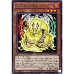 【九幽本舖】現貨 遊戲王 1205 INFO-JP019 幻祿的天盃龍 銀字