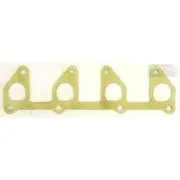 Platinum Extractor Gasket - HSM319