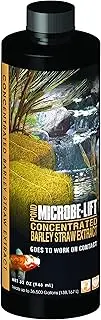 Microbe Lift 32-Ounce Pond Concentrated Extract Barley Straw MLCBSE1L