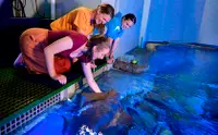 在飛比找KLOOK 客路優惠-凱恩斯水族館海洋生物邂逅之旅
