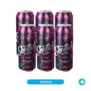 Temple - Cerveza Scottish 473ml x12 units