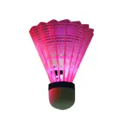 4 Pcs LED Shuttlecock Badminton Balls Set Glow Birdies Lighting Goose Feather