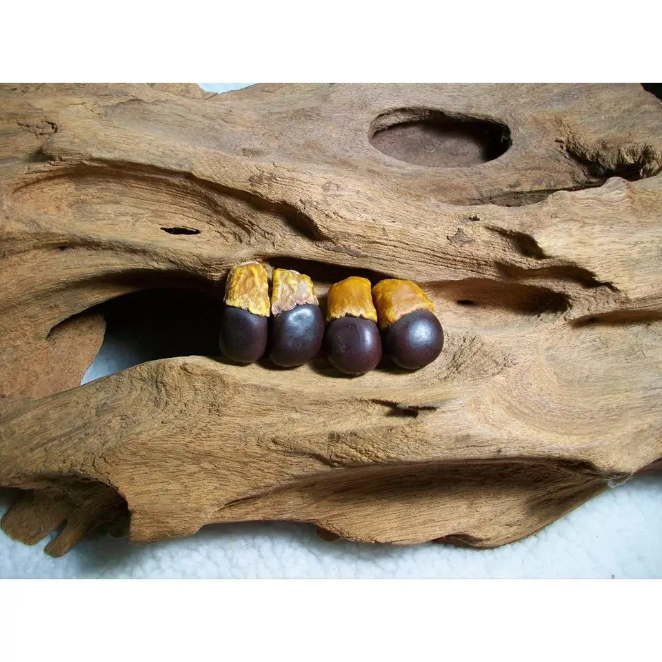 アクセサリー 白玉菩提 風化多色ブレスレット 樽型ビーズ 天然種子 文