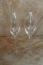 Orrefors Difference Erika Lagerbielke Sparkling Wine Glasses Set of 2 NIB DH2996
