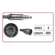 RAE Oxygen Sensor - OX229