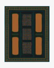 245' x 305' | Machine Washable Runner Rug | Kid & Pet Friendly | Indoor Rug | Architectural Digest Nerissa Teal & Gold Rug | Ruggable