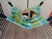 Ferret Hammock Pocket - Green, Blue & White Plaid