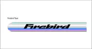 Firebird (2) Exhaust Shields, 4" Tube Side, Stainless Steel LIMITED EDITION!