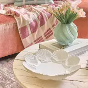 Sienna Shell Decorative Bowl [MUSHSIESBW25]